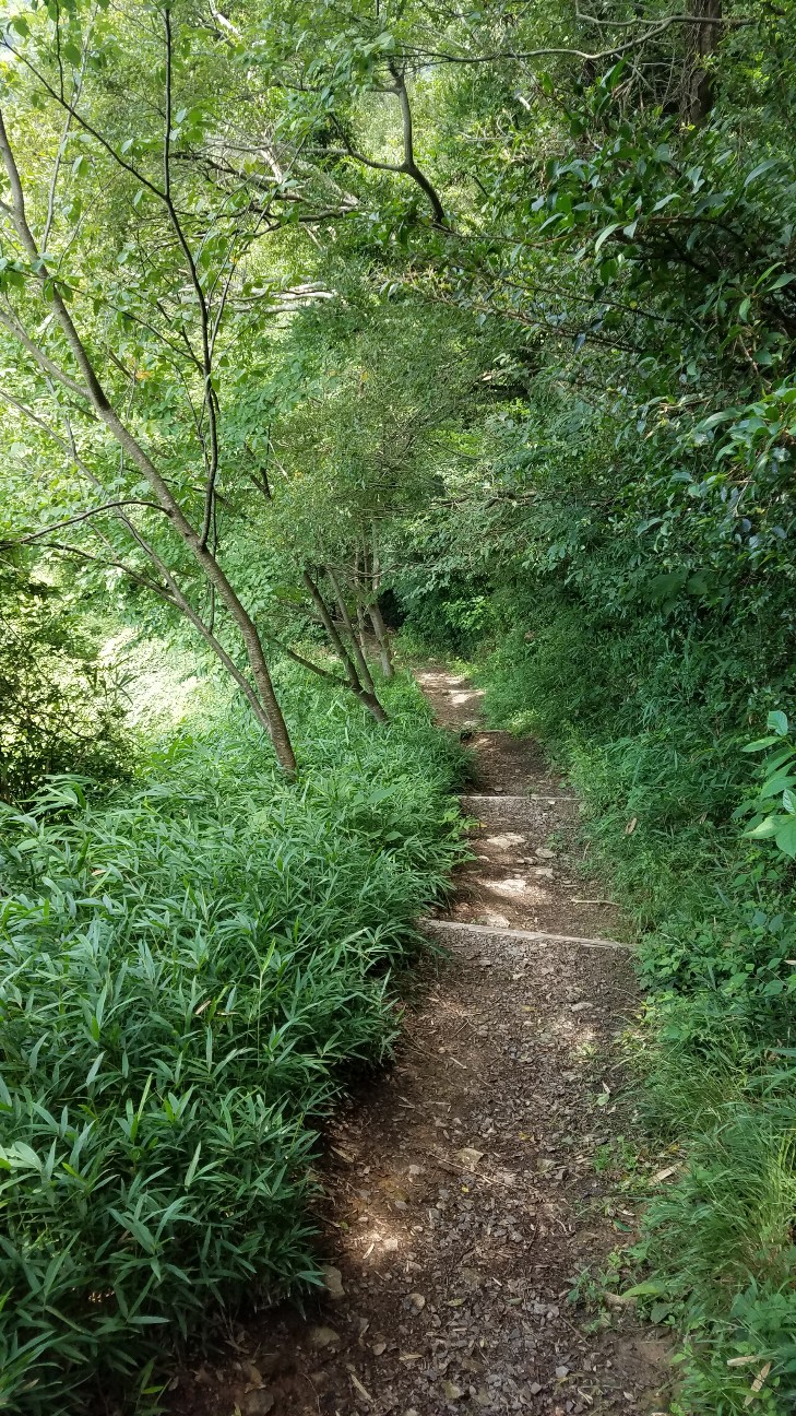 f:id:henlo:20190717002439j:image