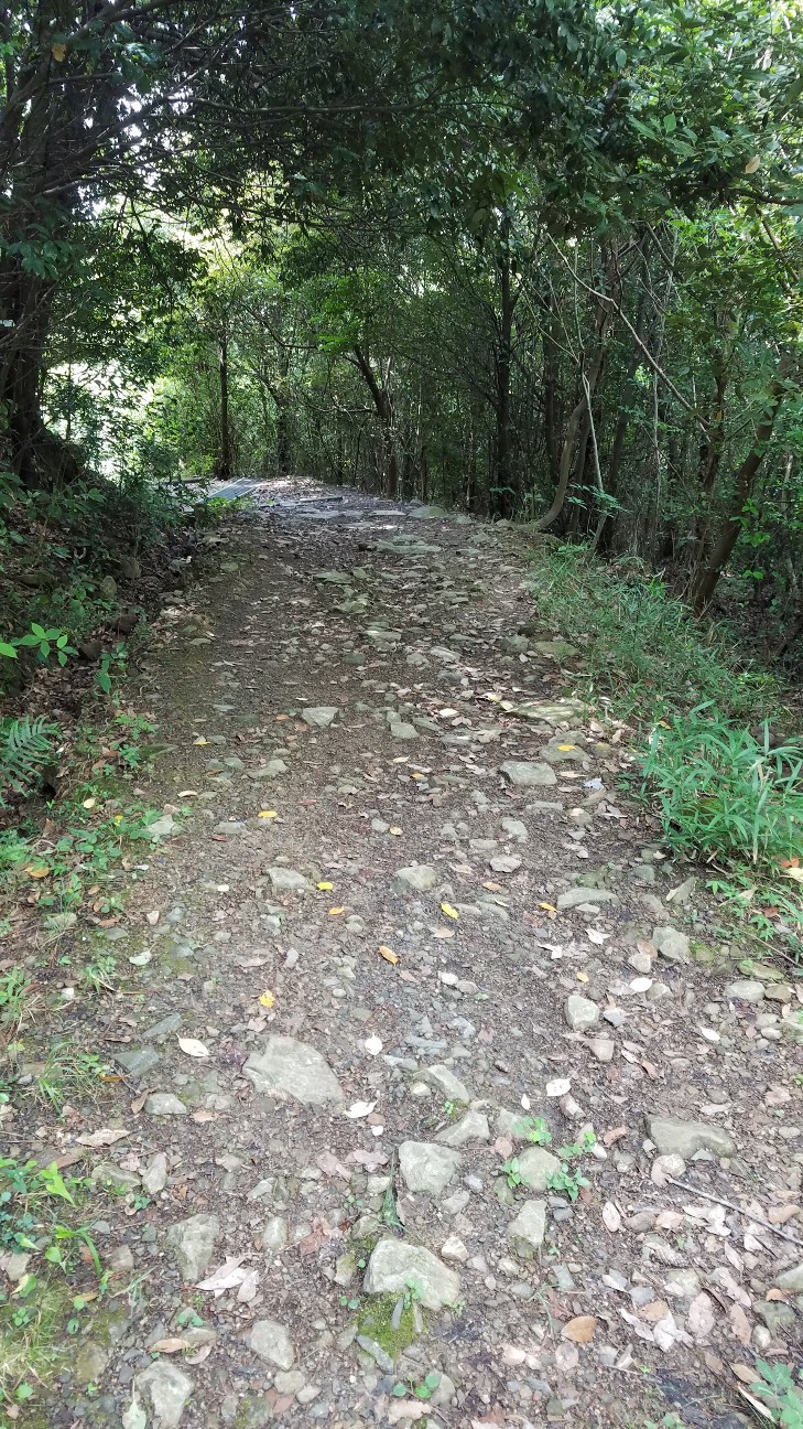 f:id:henlo:20190717002510j:image