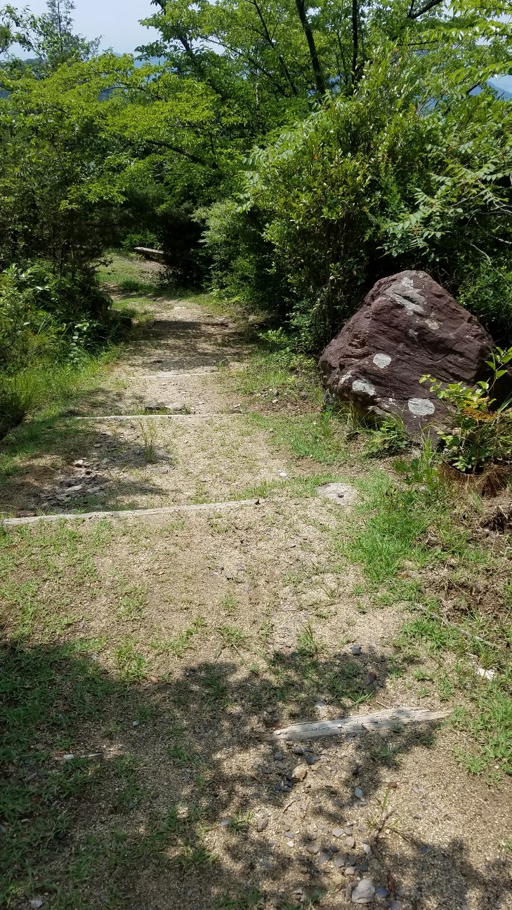 f:id:henlo:20190717002557j:image