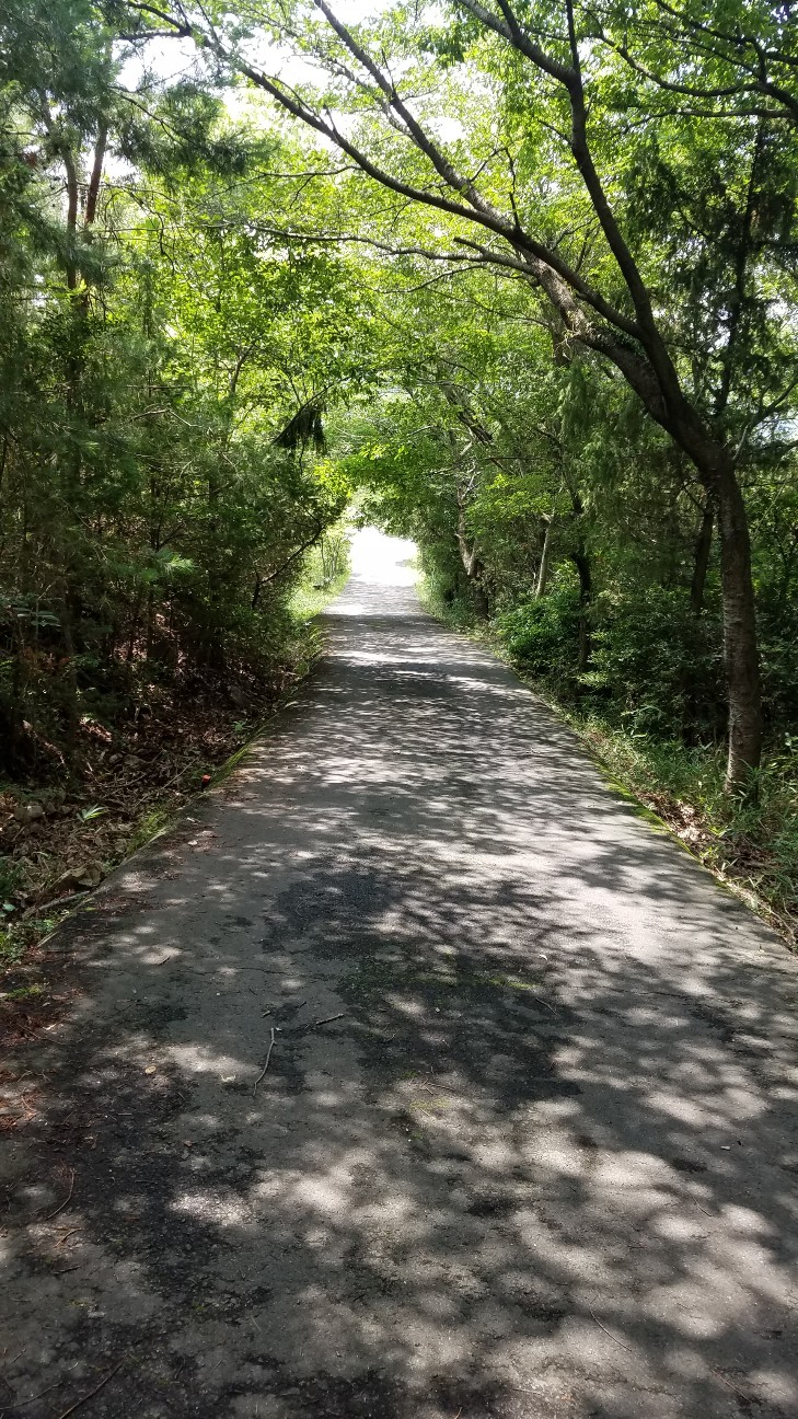f:id:henlo:20190717002910j:image