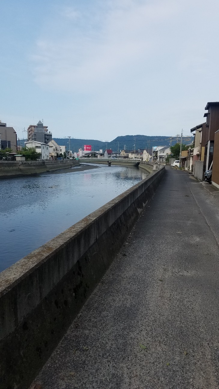 f:id:henlo:20190717005703j:image