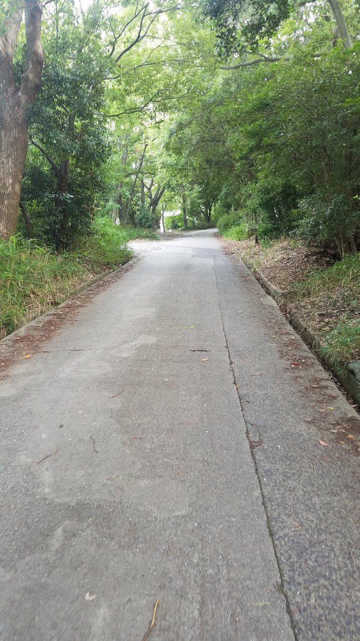 f:id:henlo:20190717205702j:image