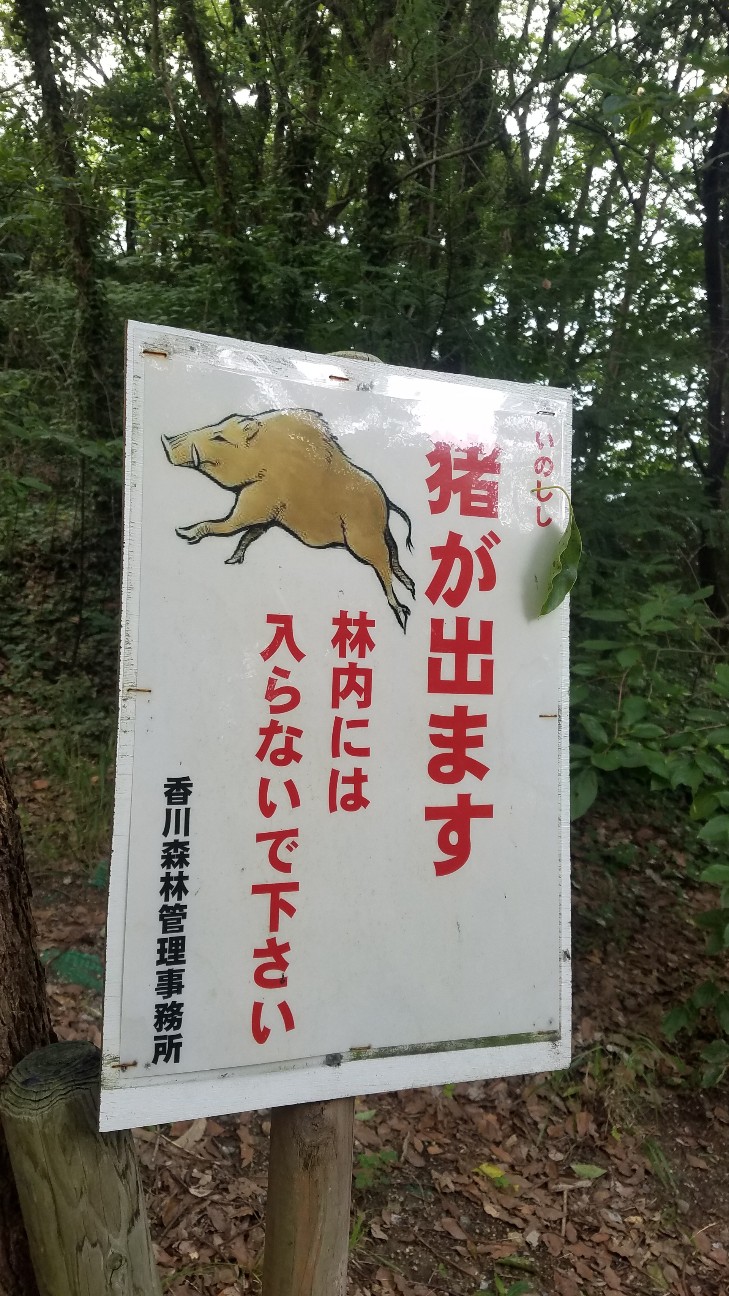 f:id:henlo:20190717205806j:image