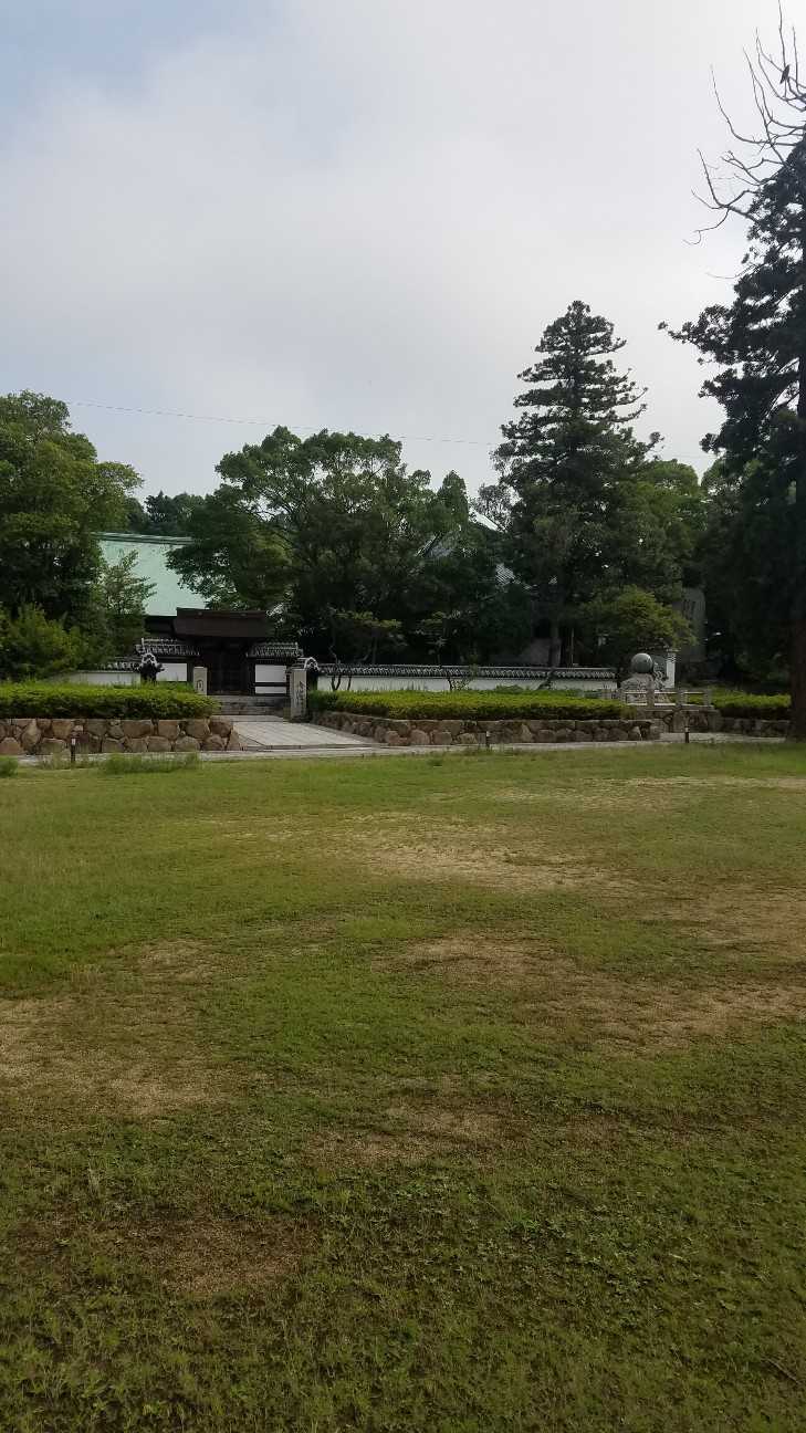 f:id:henlo:20190717210522j:image