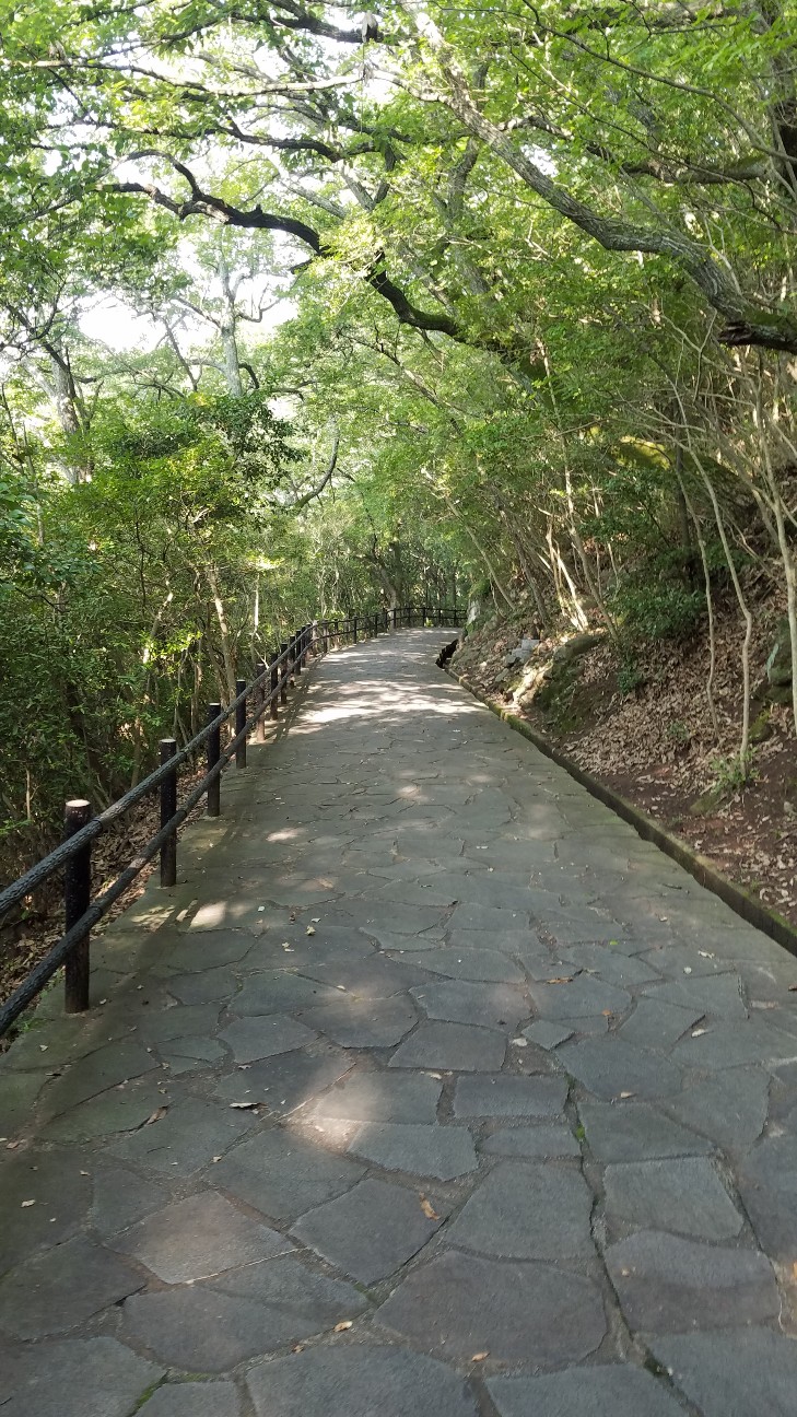 f:id:henlo:20190717210906j:image