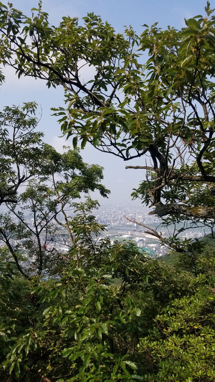 f:id:henlo:20190717211824j:image