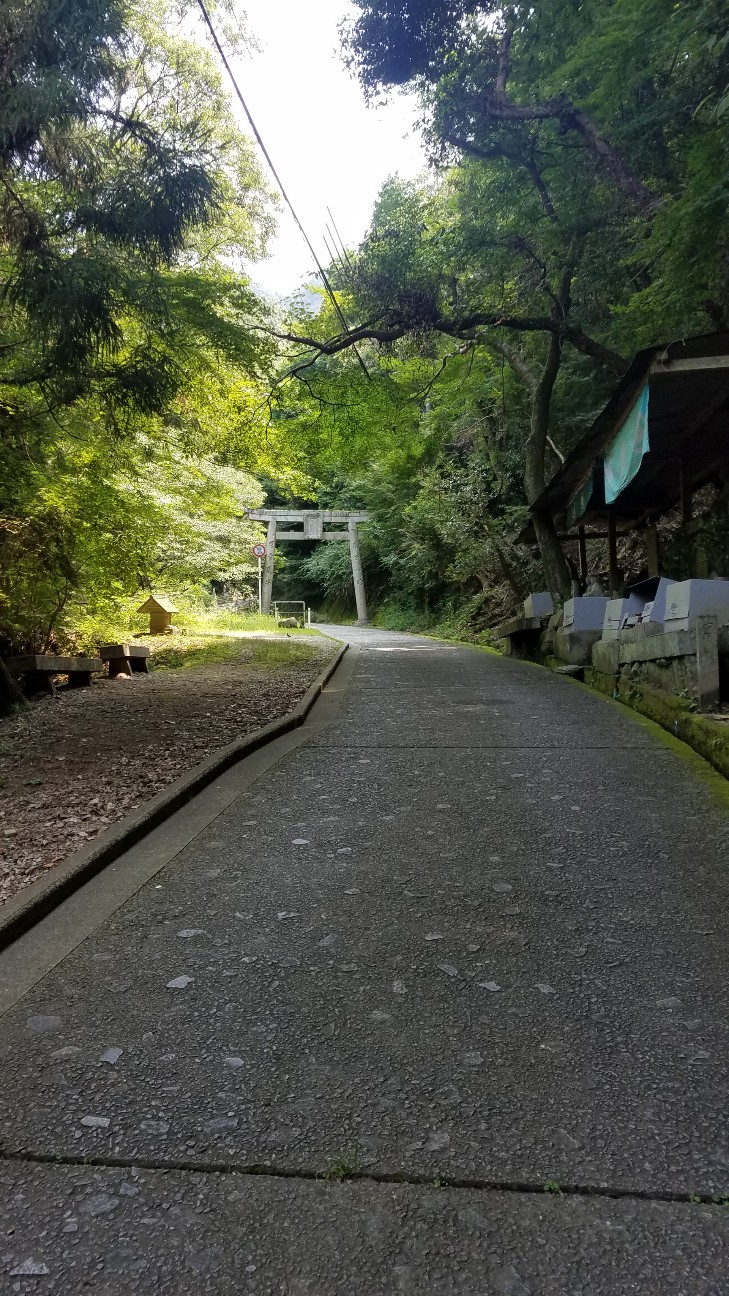 f:id:henlo:20190717212711j:image