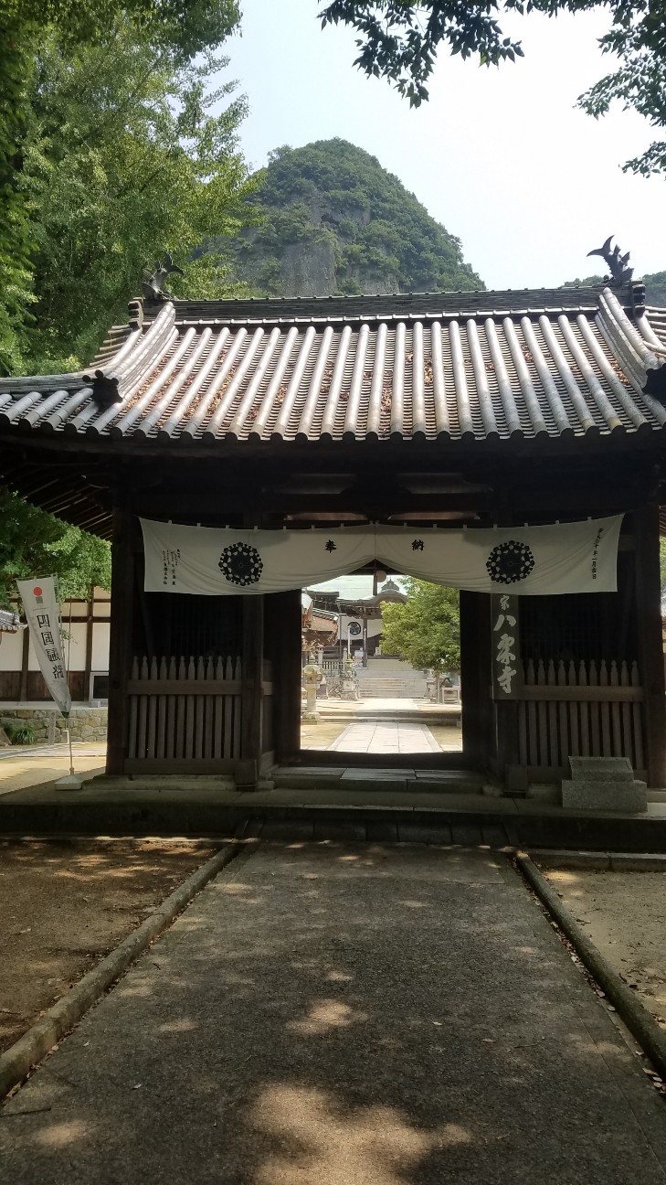 f:id:henlo:20190717213131j:image