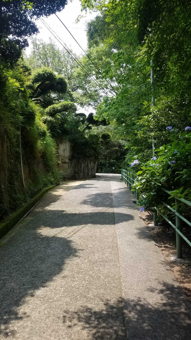 f:id:henlo:20190717213220j:image