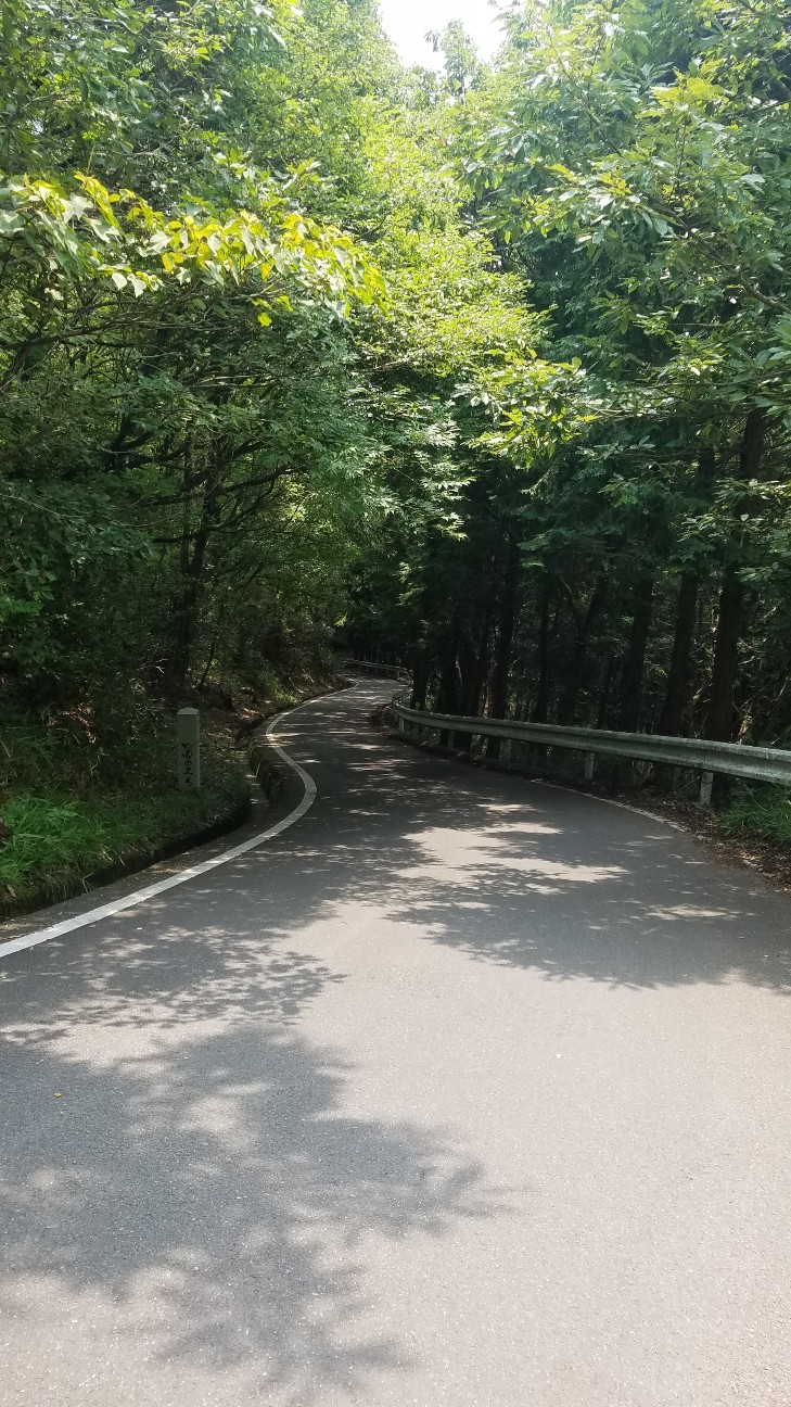 f:id:henlo:20190717213356j:image