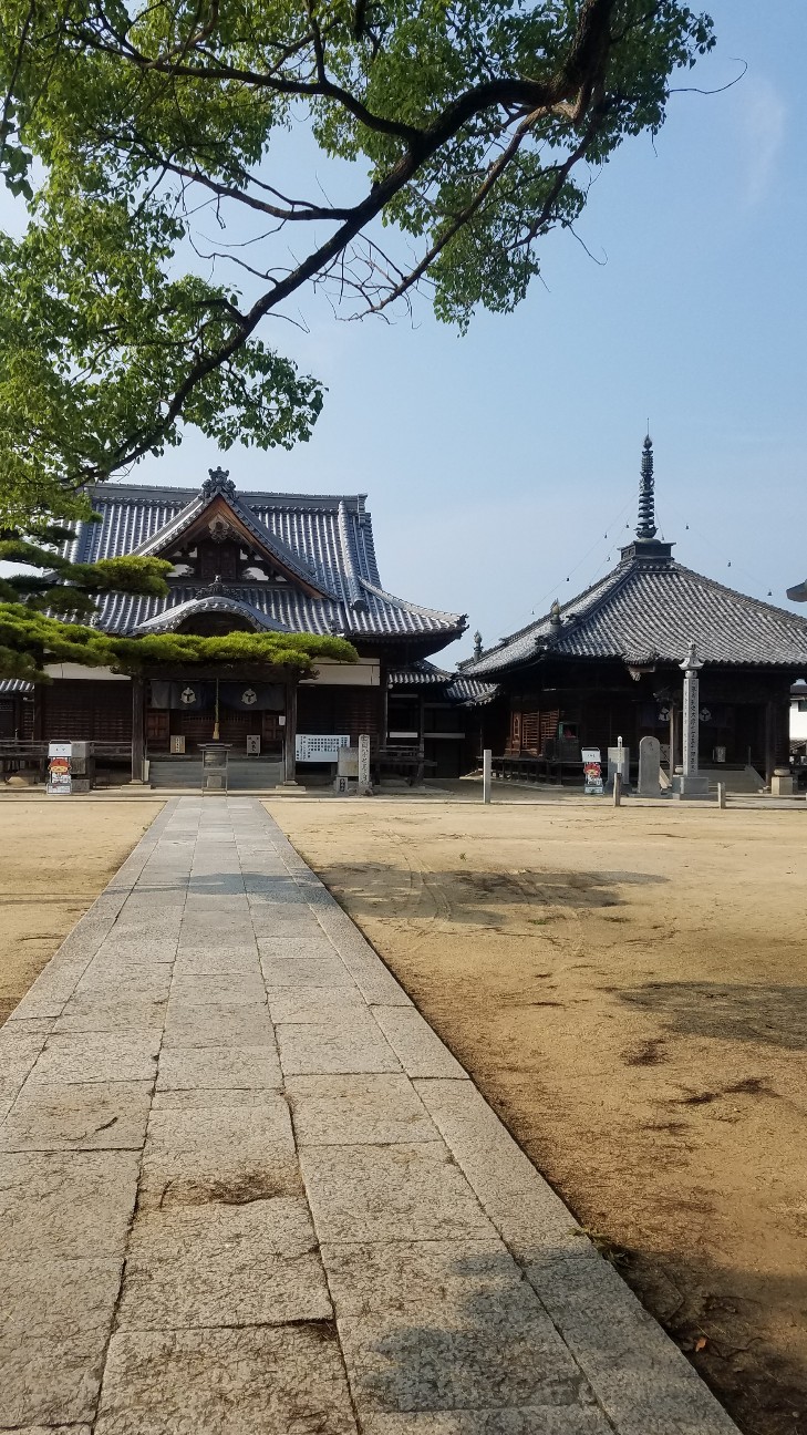f:id:henlo:20190717225801j:image