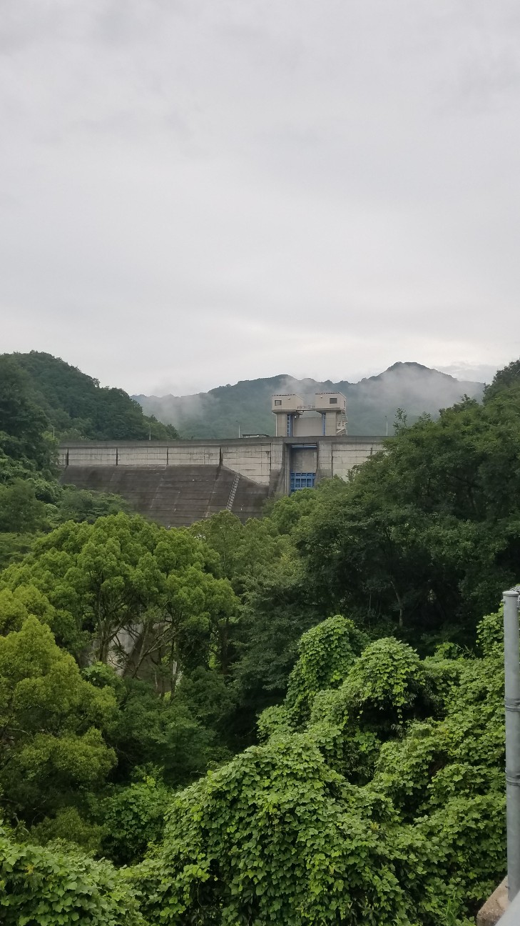 f:id:henlo:20190718210352j:image