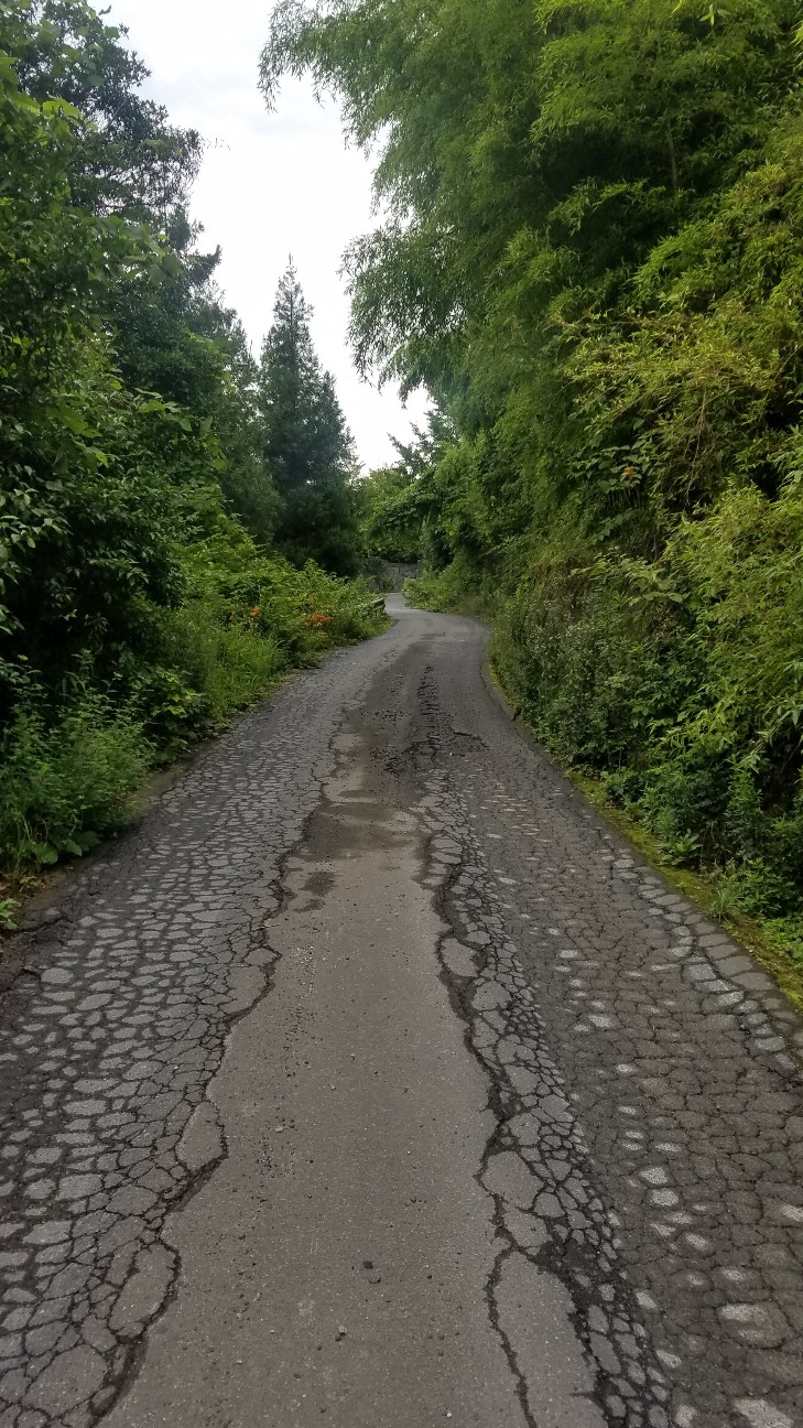 f:id:henlo:20190718213322j:image