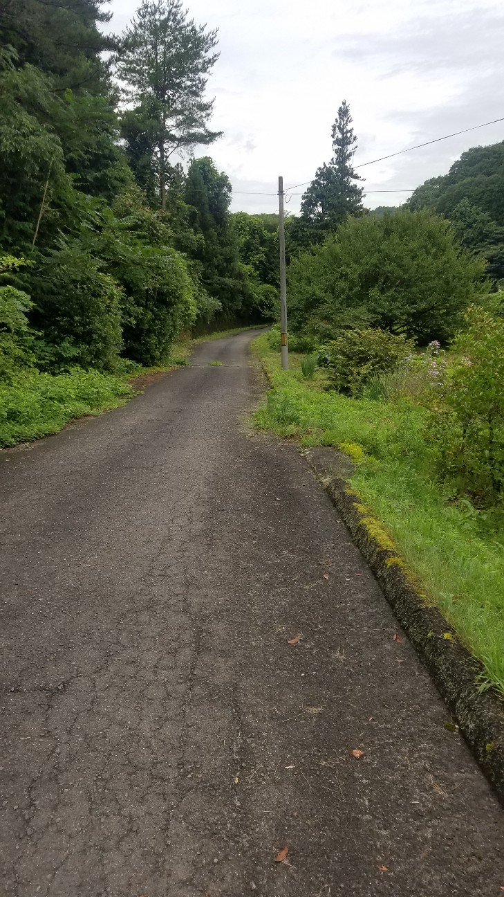 f:id:henlo:20190718220942j:image