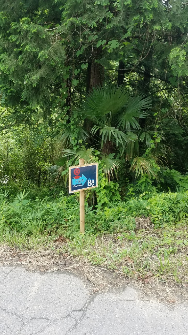 f:id:henlo:20190718221038j:image