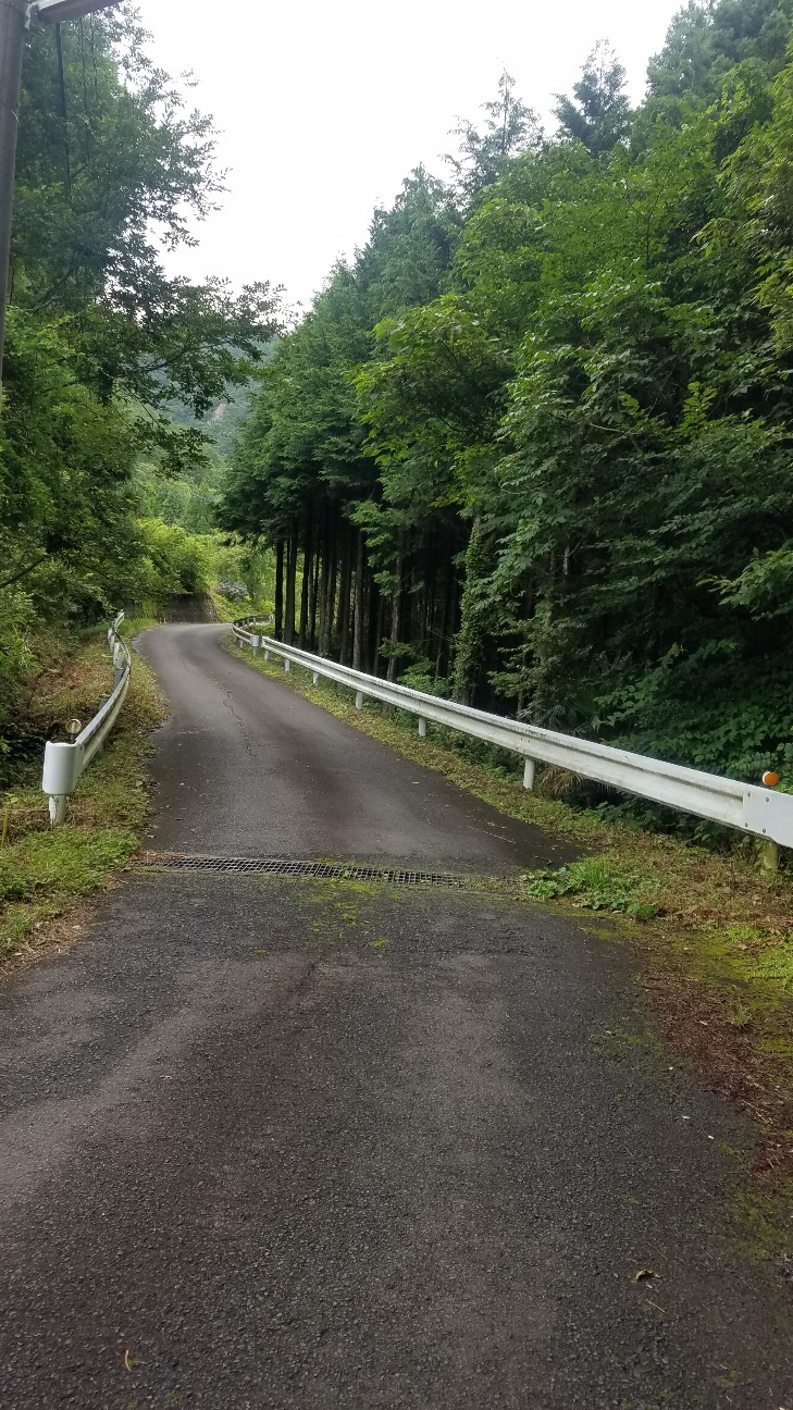 f:id:henlo:20190718221749j:image