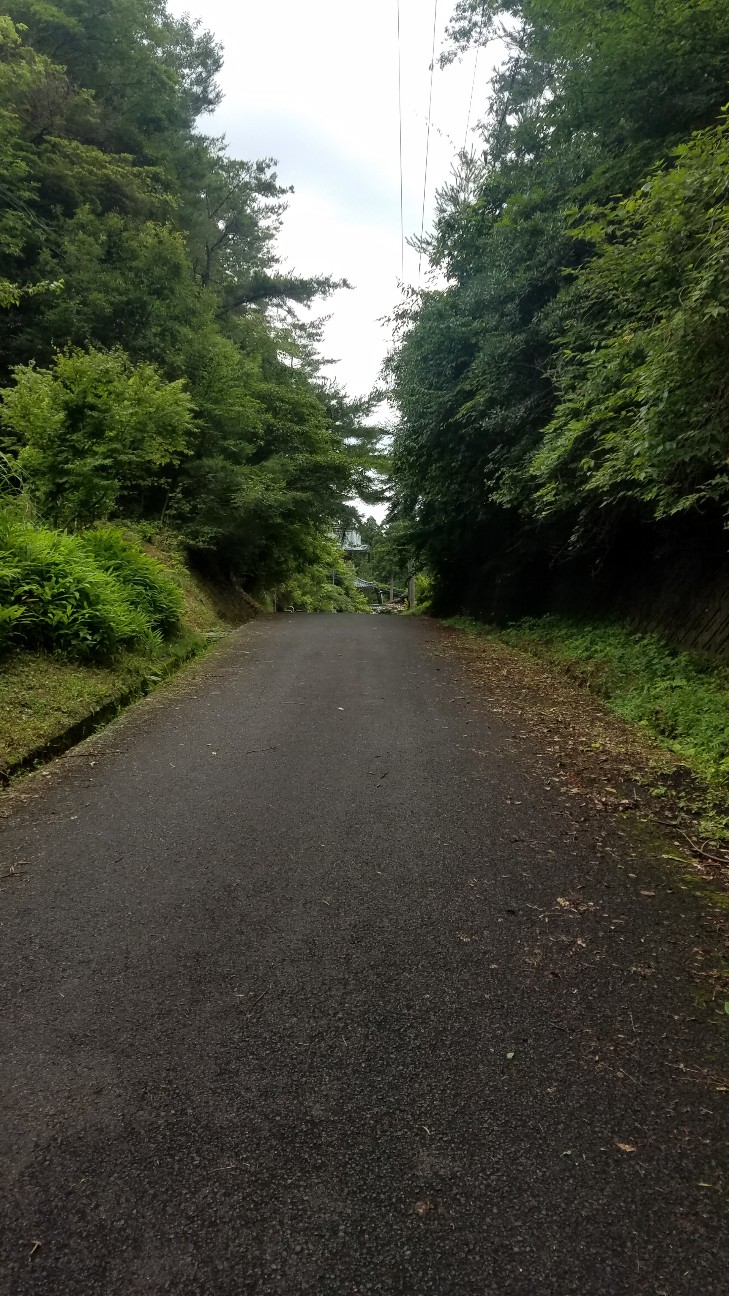 f:id:henlo:20190718221814j:image