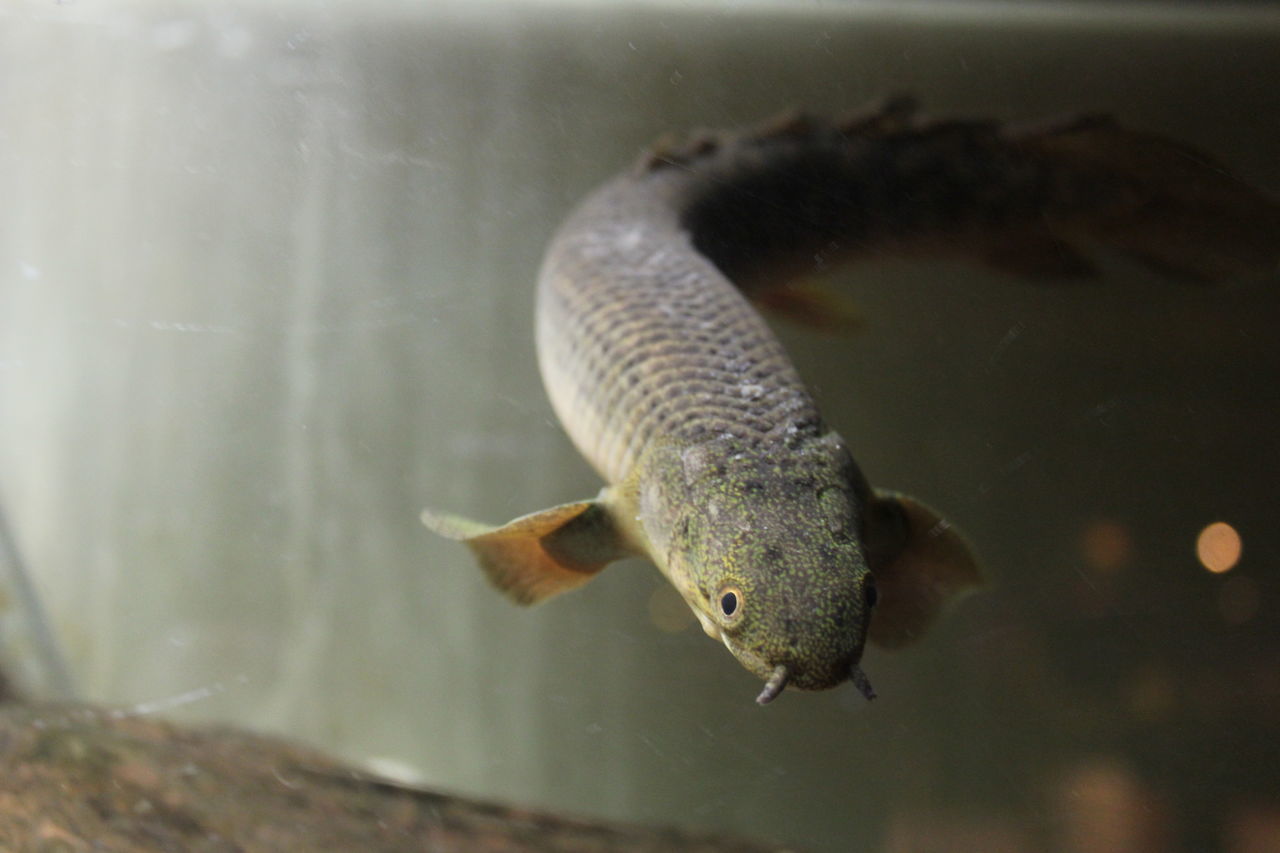 f:id:henmichieco:20190824001210j:plain f:id:henmichieco:20190824001210j:plain