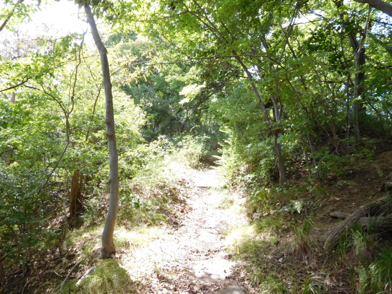 f:id:henrilesidaner:20161002134950j:plain