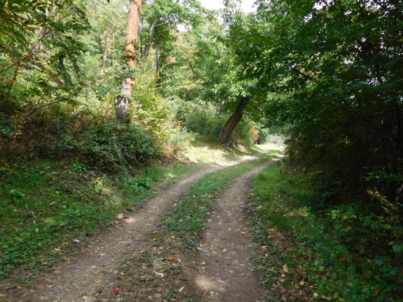 f:id:henrilesidaner:20161025213035j:plain f:id:henrilesidaner:20161025213035j:plain