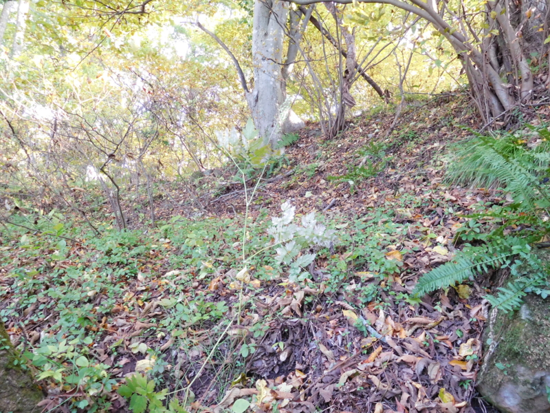 f:id:henrilesidaner:20161103125348j:plain