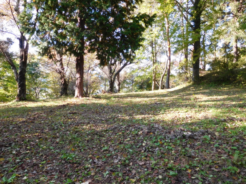f:id:henrilesidaner:20161103125402j:plain