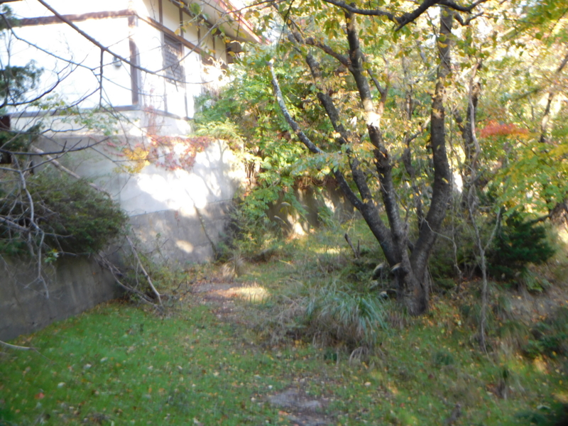 f:id:henrilesidaner:20161104224637j:plain