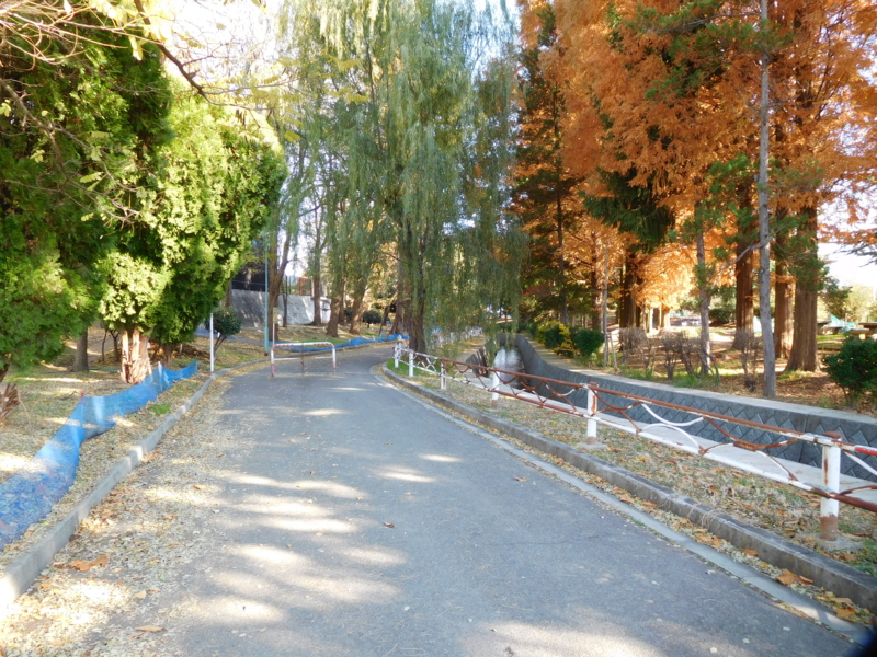 f:id:henrilesidaner:20161120151601j:plain