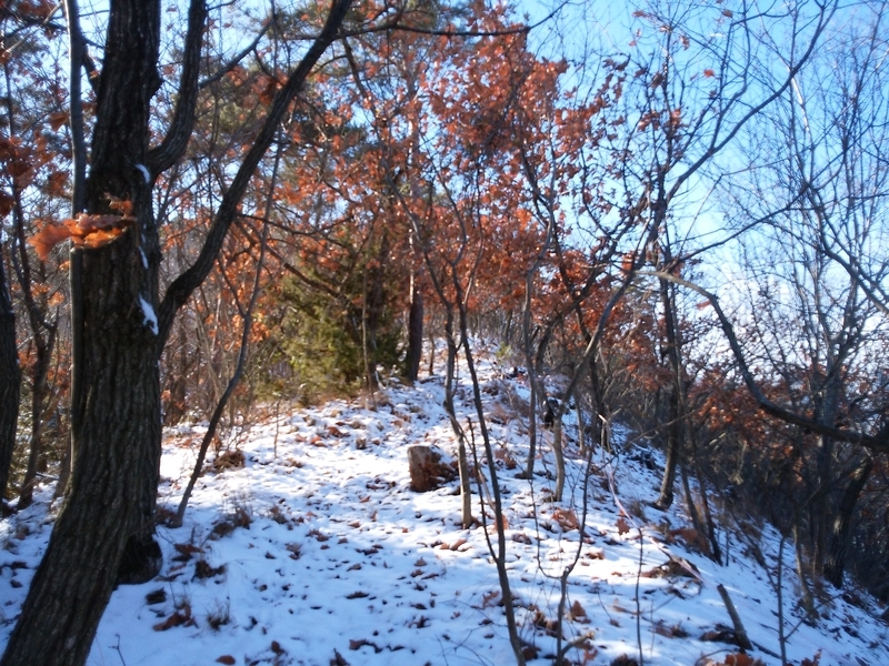 f:id:henrilesidaner:20181230105145j:plain
