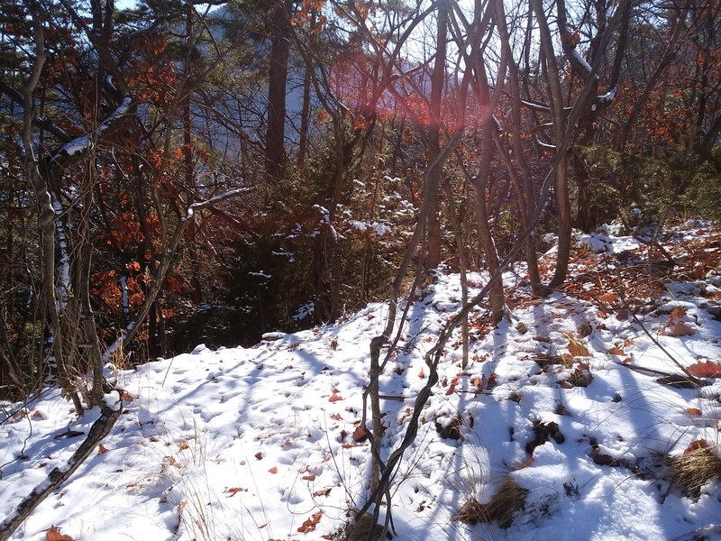 f:id:henrilesidaner:20181230105205j:plain