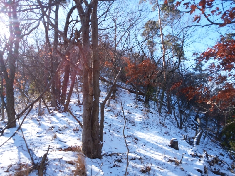 f:id:henrilesidaner:20181230105355j:plain