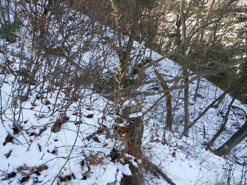 f:id:henrilesidaner:20181230110116j:plain