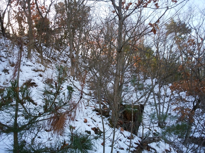 f:id:henrilesidaner:20181230110119j:plain