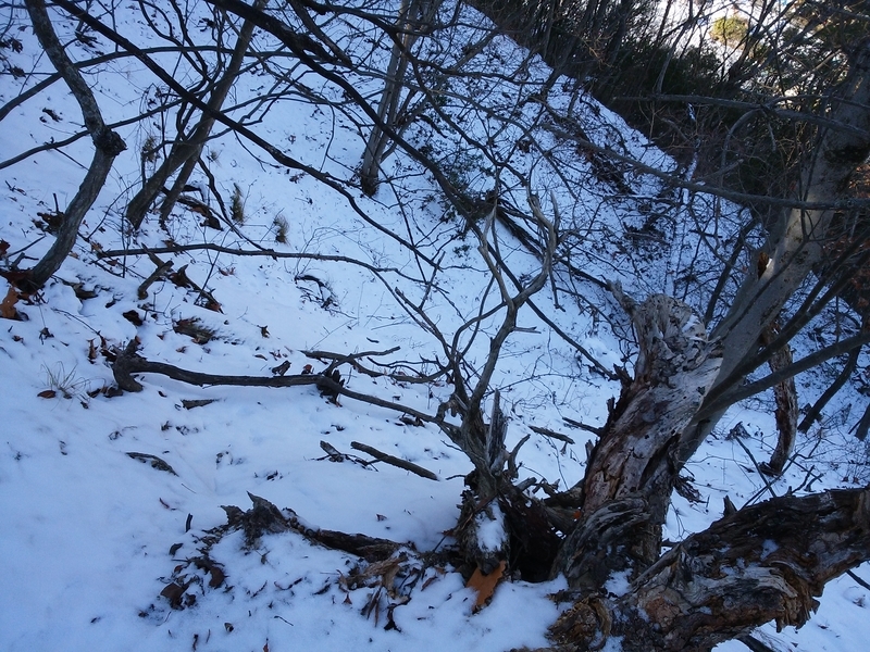 f:id:henrilesidaner:20181230110455j:plain