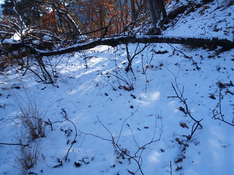 f:id:henrilesidaner:20181230110644j:plain