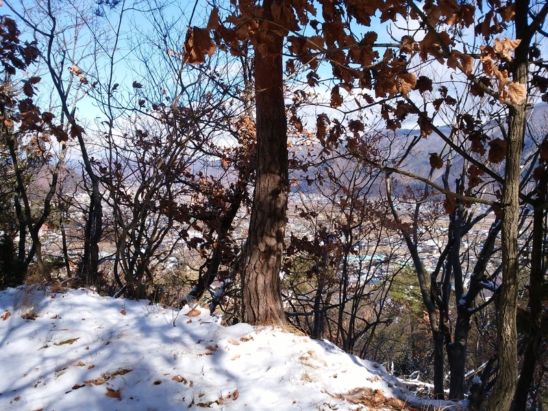 f:id:henrilesidaner:20181230110948j:plain