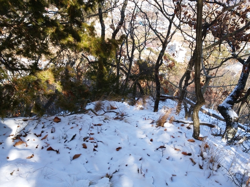 f:id:henrilesidaner:20181230111032j:plain