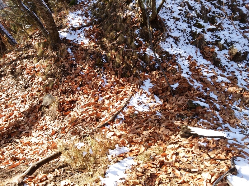 f:id:henrilesidaner:20181230111224j:plain