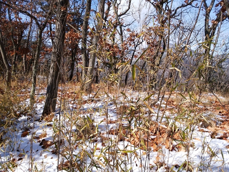 f:id:henrilesidaner:20181230111323j:plain