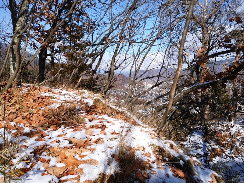 f:id:henrilesidaner:20181230111325j:plain