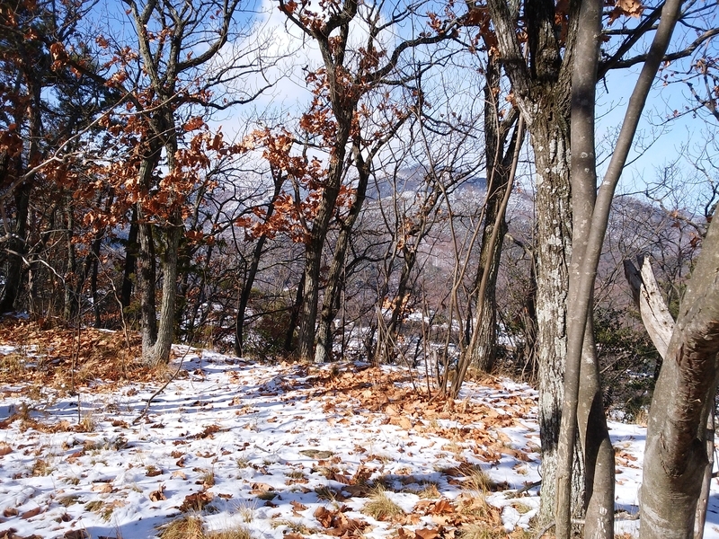 f:id:henrilesidaner:20181230111337j:plain