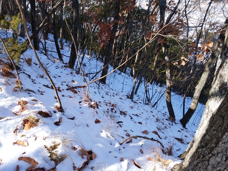 f:id:henrilesidaner:20181230111351j:plain