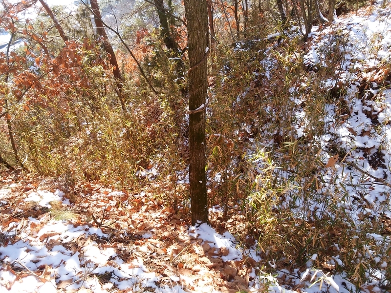 f:id:henrilesidaner:20181230111551j:plain