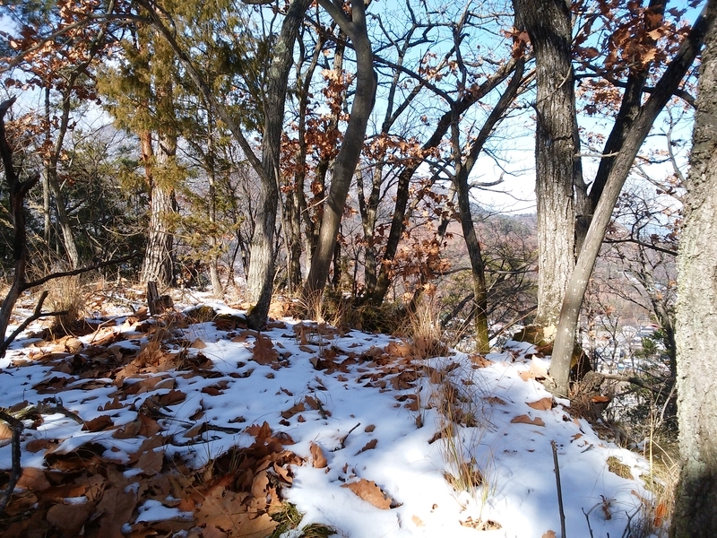 f:id:henrilesidaner:20181230111643j:plain