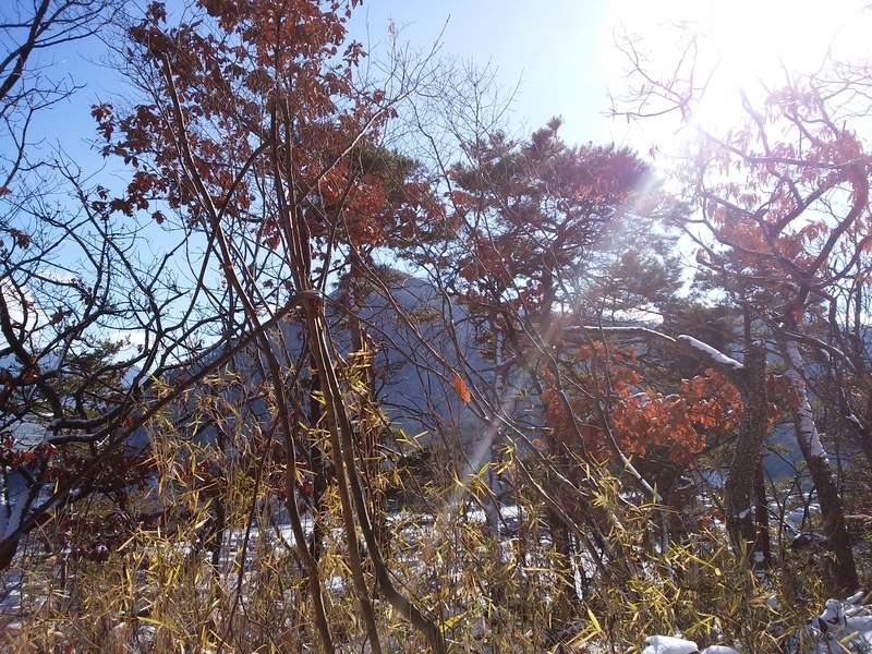 f:id:henrilesidaner:20181230112818j:plain