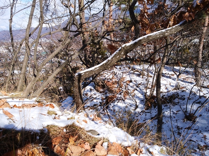 f:id:henrilesidaner:20181230112838j:plain