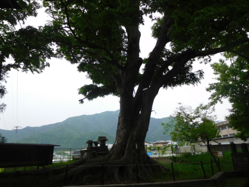 f:id:henrilesidaner:20190110090820j:plain