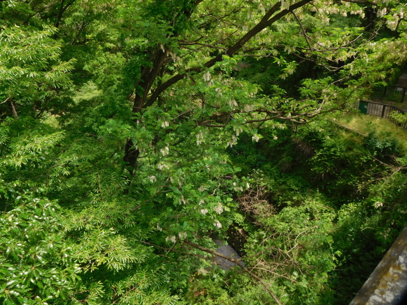f:id:henrilesidaner:20190113122100j:plain f:id:henrilesidaner:20190113122100j:plain