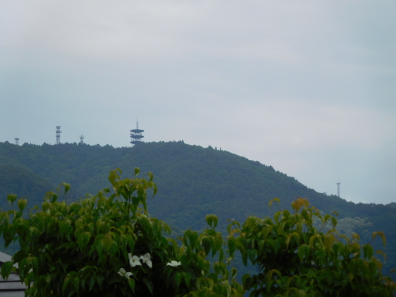 f:id:henrilesidaner:20190126100623j:plain