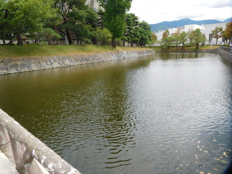 f:id:henrilesidaner:20190414095133j:plain